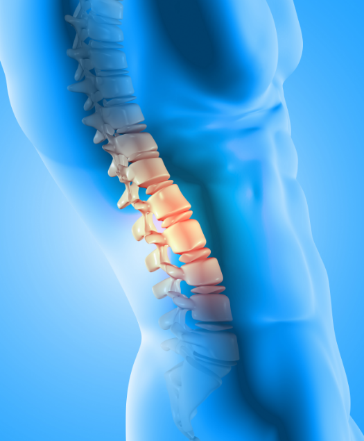 3d-render-male-medical-figure-with-spine-highlighted