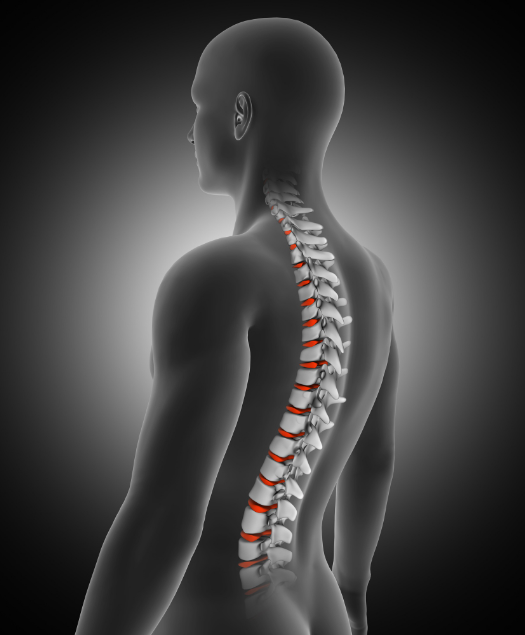 3d-render-medical-background-with-male-figure-with-spine-discs-highlighted