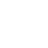 ValidationInstituteLogo_White